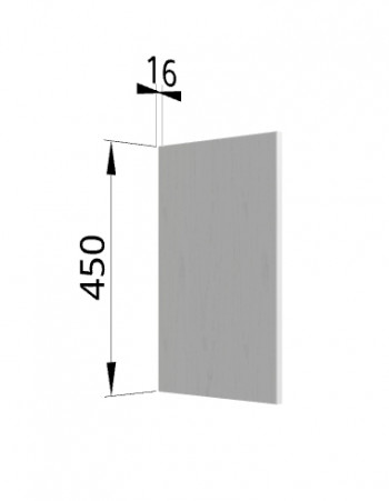 Панель торцевая (для шкафа горизонтального высокого) ВПГ Ройс (Графит софт) в Утянке - utyanka.mebel54.com | фото